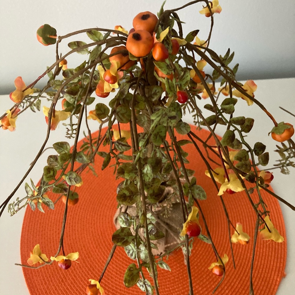 Fall decor - Picture 2 of 5